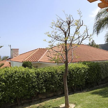 Eve Pissouri Rozaki Villa 部屋 写真