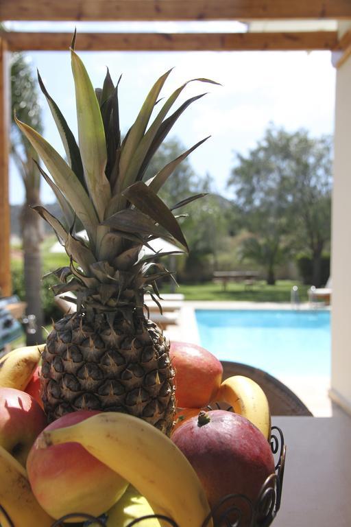 Eve Pissouri Rozaki Villa 部屋 写真